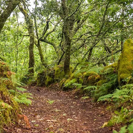 Сasa de vacaciones Casa De Fora