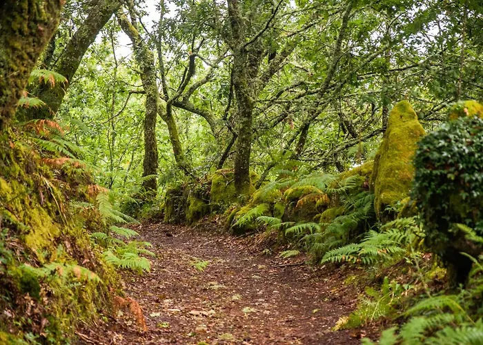 Semesterbostad Casa De Fora